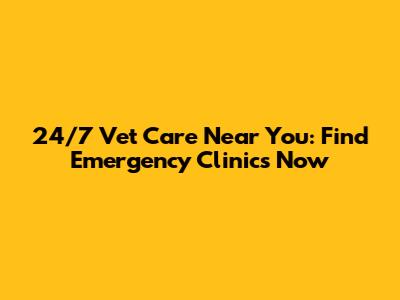 24/7 Vet Care Near You: Find Emergency Clinics Now
