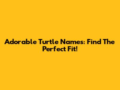 Adorable Turtle Names: Find The Perfect Fit!