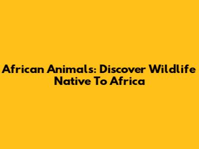 African Animals: Discover Wildlife Native To Africa
