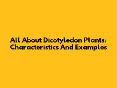 All About Dicotyledon Plants: Characteristics And Examples