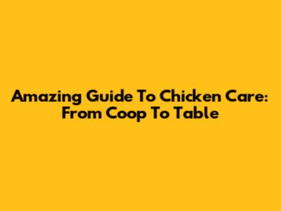 Amazing Guide To Chicken Care: From Coop To Table
