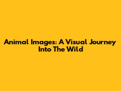 Animal Images: A Visual Journey Into The Wild