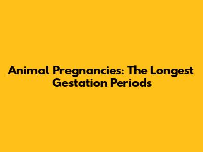 Animal Pregnancies: The Longest Gestation Periods