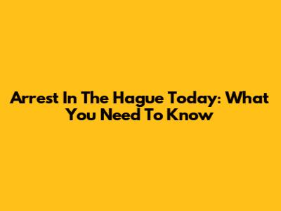 Arrest In The Hague Today: What You Need To Know