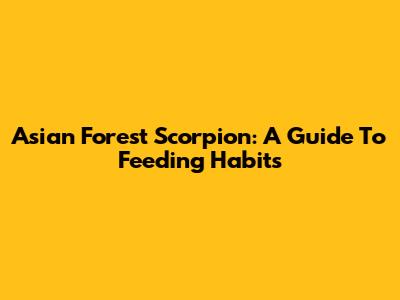 Asian Forest Scorpion: A Guide To Feeding Habits