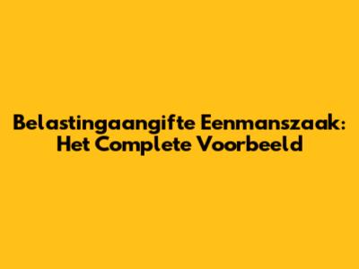Belastingaangifte Eenmanszaak: Het Complete Voorbeeld