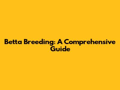 Betta Breeding: A Comprehensive Guide