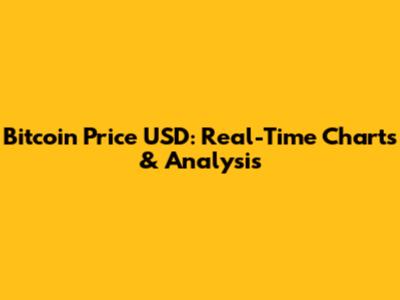 Bitcoin Price USD: Real-Time Charts & Analysis