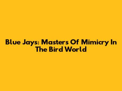 Blue Jays: Masters Of Mimicry In The Bird World