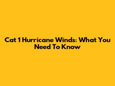 Cat 1 Hurricane Winds: What You Need To Know