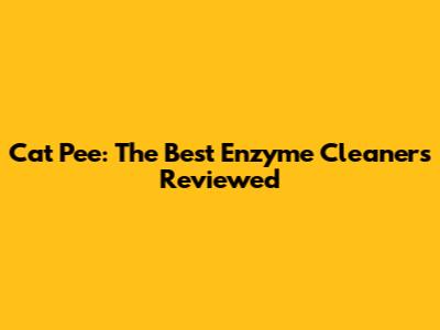 Cat Pee: The Best Enzyme Cleaners Reviewed