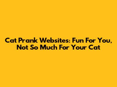 Cat Prank Websites: Fun For You, Not So Much For Your Cat
