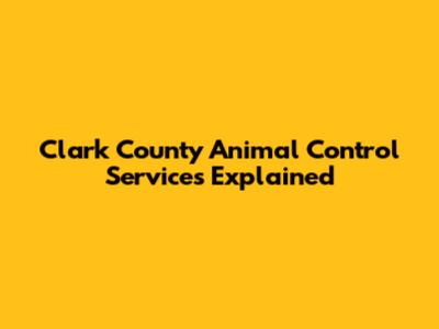 Clark County Animal Control Services Explained