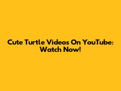 Cute Turtle Videos On YouTube: Watch Now!