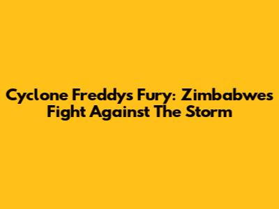 Cyclone Freddy's Fury: Zimbabwe's Fight Against The Storm