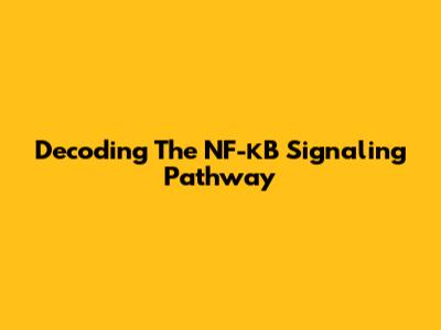 Decoding The NF-κB Signaling Pathway