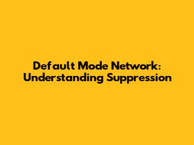 Default Mode Network: Understanding Suppression