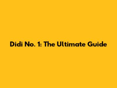 Didi No. 1: The Ultimate Guide