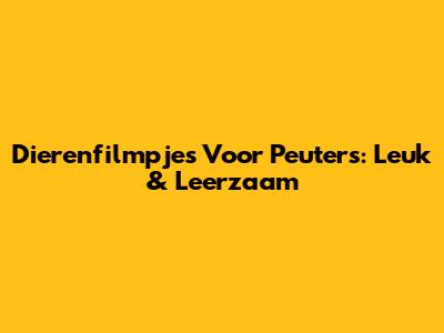 Dierenfilmpjes Voor Peuters: Leuk & Leerzaam
