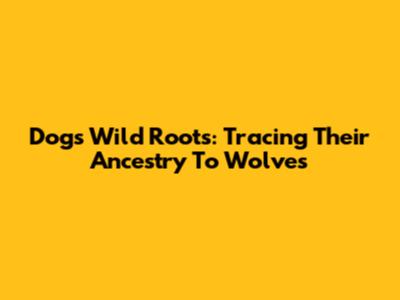 Dogs' Wild Roots: Tracing Their Ancestry To Wolves