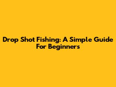 Drop Shot Fishing: A Simple Guide For Beginners