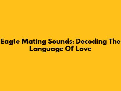 Eagle Mating Sounds: Decoding The Language Of Love