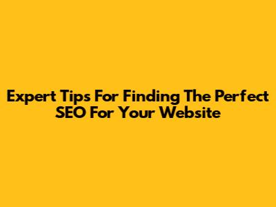 Expert Tips For Finding The Perfect SEO For Your Website