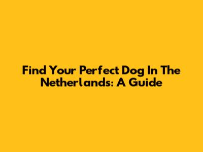 Find Your Perfect Dog In The Netherlands: A Guide