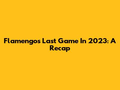 Flamengo's Last Game In 2023: A Recap