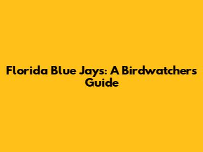 Florida Blue Jays: A Birdwatcher's Guide