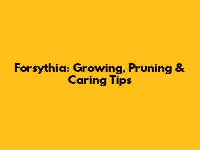 Forsythia: Growing, Pruning & Caring Tips