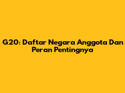 G20: Daftar Negara Anggota Dan Peran Pentingnya
