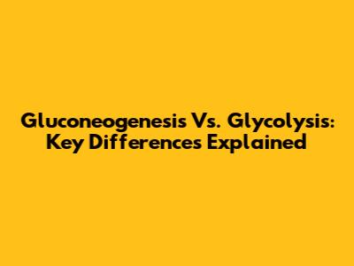Gluconeogenesis Vs. Glycolysis: Key Differences Explained