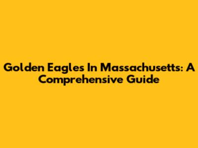 Golden Eagles In Massachusetts: A Comprehensive Guide