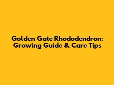 Golden Gate Rhododendron: Growing Guide & Care Tips