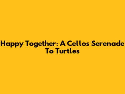 Happy Together: A Cello's Serenade To Turtles