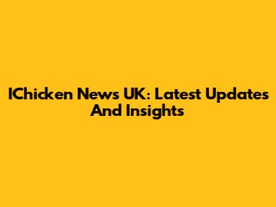 IChicken News UK: Latest Updates And Insights
