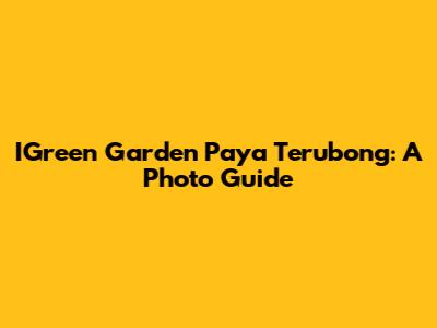 IGreen Garden Paya Terubong: A Photo Guide
