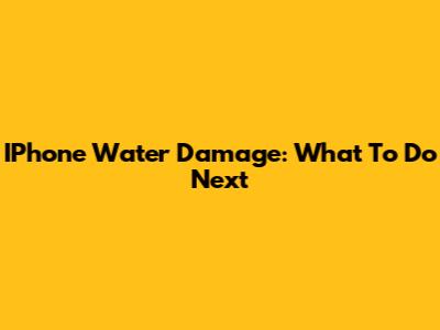 IPhone Water Damage: What To Do Next