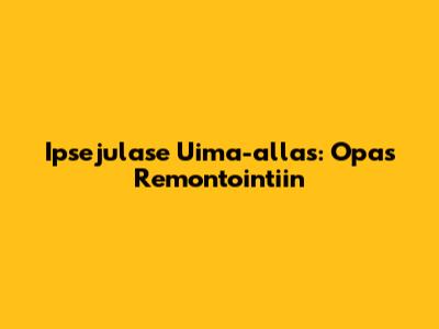 Ipsejulase Uima-allas: Opas Remontointiin