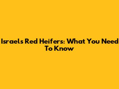 Israel's Red Heifers: What You Need To Know