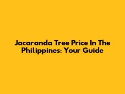 Jacaranda Tree Price In The Philippines: Your Guide
