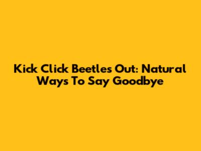 Kick Click Beetles Out: Natural Ways To Say Goodbye