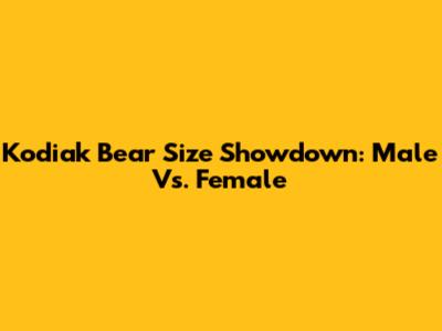 Kodiak Bear Size Showdown: Male Vs. Female