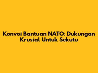 Konvoi Bantuan NATO: Dukungan Krusial Untuk Sekutu