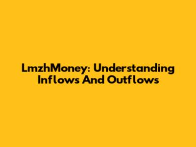 LmzhMoney: Understanding Inflows And Outflows