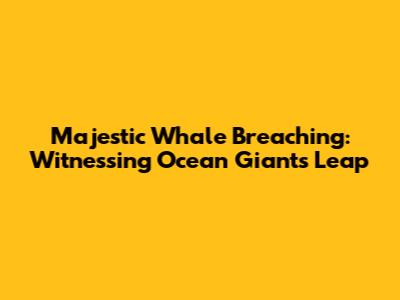 Majestic Whale Breaching: Witnessing Ocean Giants Leap