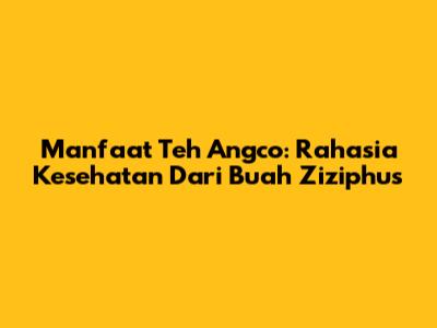 Manfaat Teh Angco: Rahasia Kesehatan Dari Buah Ziziphus