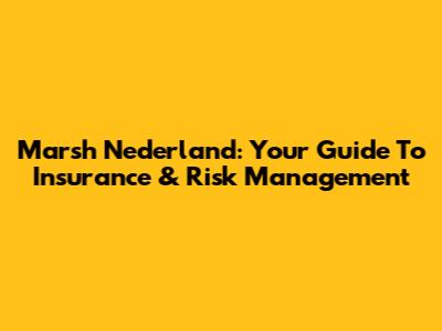 Marsh Nederland: Your Guide To Insurance & Risk Management
