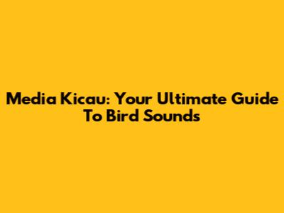 Media Kicau: Your Ultimate Guide To Bird Sounds